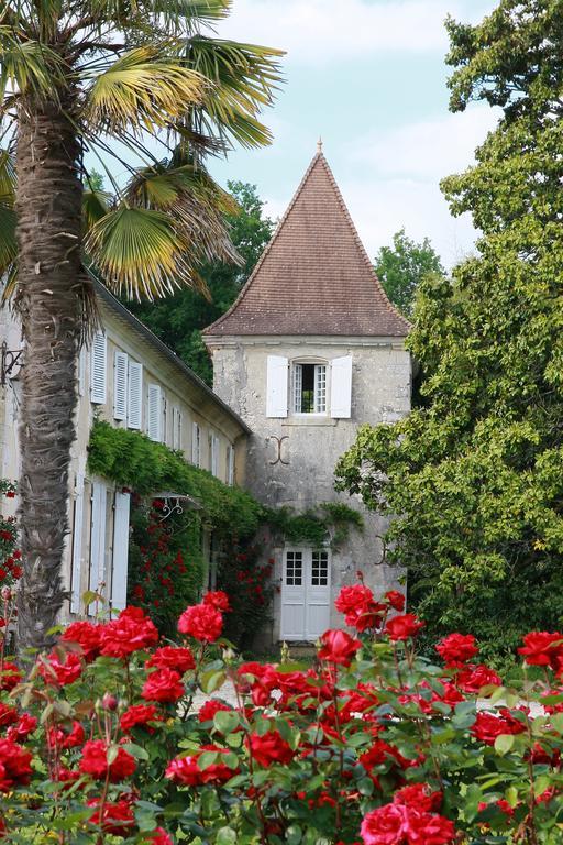Chateau De Puyrigaud Acomodação com café da manhã Léoville Exterior foto